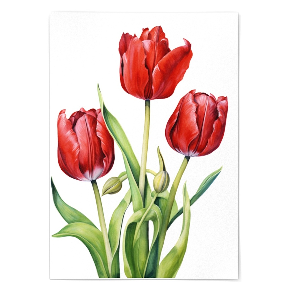 Watercolor Tulips Wall Art Illustration Print Poster Unframed - Picture 2 of 5